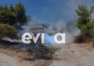 Φωτιά στην Εύβοια: Πυρκαγιά σε δασική έκταση στην περιοχή Διρφύων Μεσσαπίων