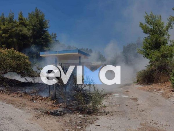 Φωτιά στην Εύβοια: Πυρκαγιά σε δασική έκταση στην περιοχή Διρφύων Μεσσαπίων