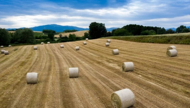 Αγρότες: Σκληρή μάχη για τις συνδεδεμένες ενισχύσεις – Προς αναθεώρηση ο κατάλογος των προϊόντων