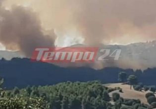 Φωτιά στην Αχαΐα: Μήνυμα για εκκένωση στους κατοίκους