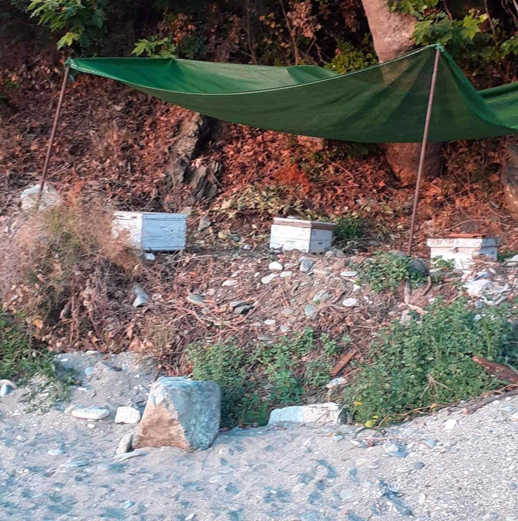 Επίθεση καταγγέλλει πως δέχθηκε ο Δήμαρχος Αγιάς