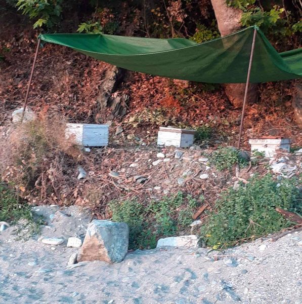 Επίθεση καταγγέλλει πως δέχθηκε ο Δήμαρχος Αγιάς