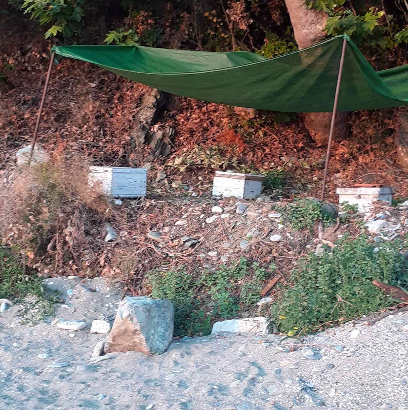 Επίθεση καταγγέλλει πως δέχθηκε ο Δήμαρχος Αγιάς