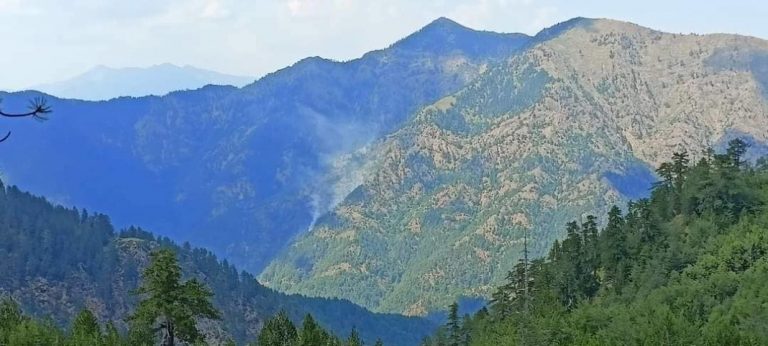 Γρεβενά: Πληροφορίες ότι η φωτιά έφτασε και στον Εθνικό Δρυμό Βάλια Κάλντα