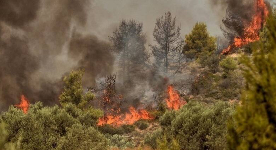 Σάμος: Επιχείρηση της Πυροσβεστικής για την κατάσβεση πυρκαγιάς σε δασική έκταση
