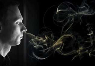 Η μυρωδιά φαίνεται πως παίζει ρόλο στις φιλίες