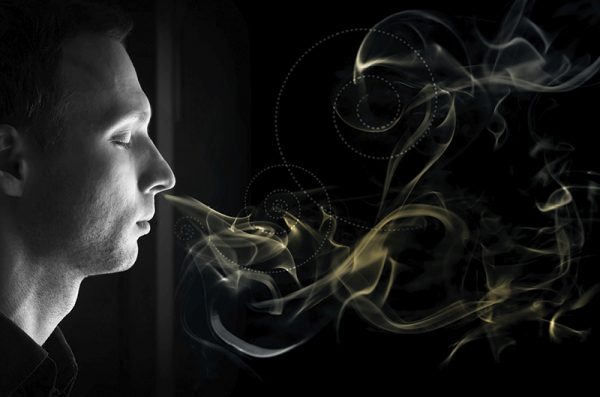 Η μυρωδιά φαίνεται πως παίζει ρόλο στις φιλίες