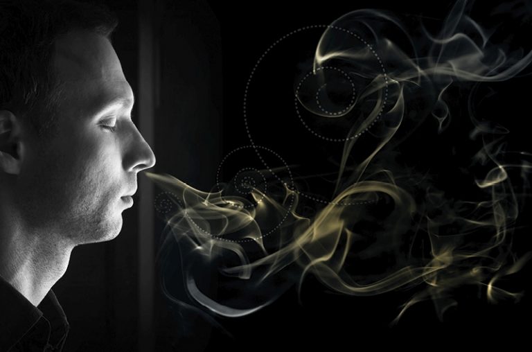 Η μυρωδιά φαίνεται πως παίζει ρόλο στις φιλίες