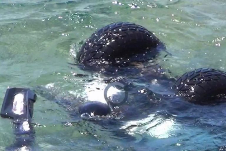 Μύκονος: Μυστήριο με την πτώση «γουρούνας» στη θάλασσα