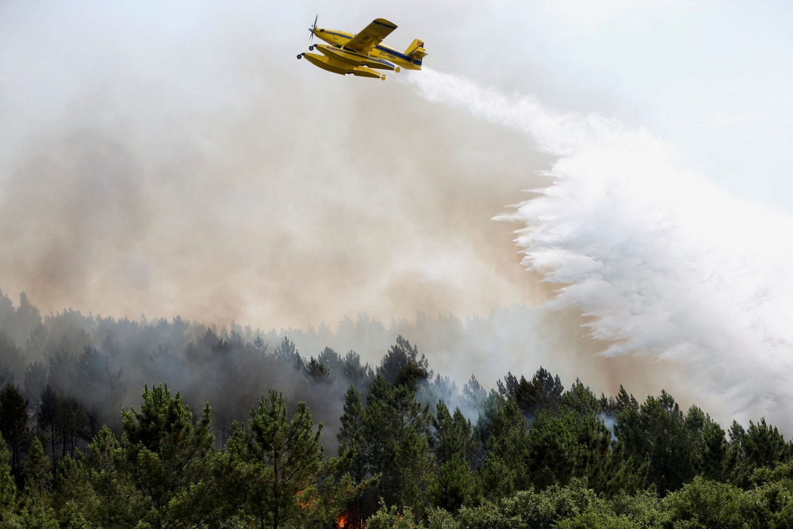 Φωτιά: Συνολικά 51 δασικές πυρκαγιές το τελευταίο 24ωρο - Αυξημένες περιπολίες σε εννέα περιοχές