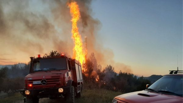 Μεγαλόπολη: Σε εξέλιξη η φωτιά στην περιοχή Ρούτσι – Επιχειρούν ισχυρές δυνάμεις
