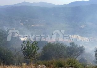 Πρέβεζα: Υπό μερικό έλεγχο η φωτιά στη Βρυσούλα