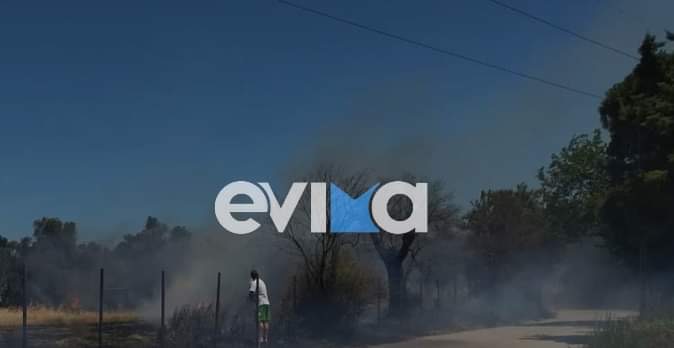 Εύβοια: Φωτιά στον Βασιλικό του Δήμου Χαλκιδέων