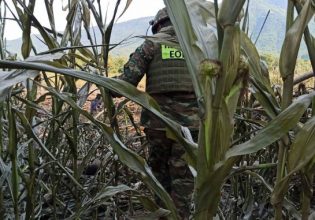 Antonov: Εντοπίστηκε και η όγδοη σορός μέλους του μοιραίου αεροσκάφους