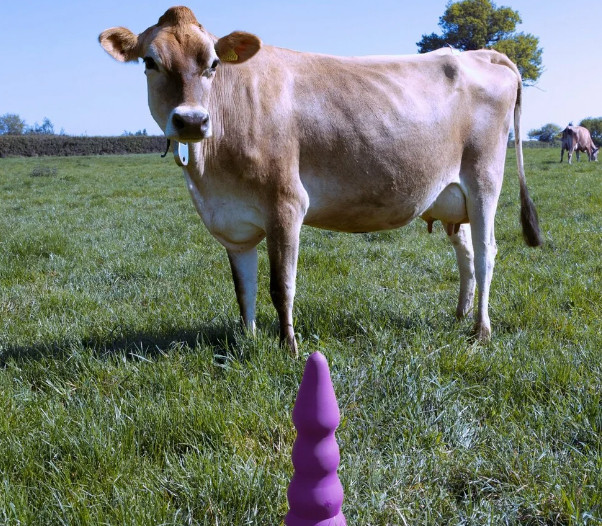 Φοιτητής σχεδίασε sex toys για… αγελάδες – Θέλει να κάνει παραδοσιακές πρακτικές πιο ευχάριστες
