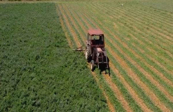 ΟΠΕΚΕΠΕ: Ψηφιοποίηση αγροτεμαχίων με νέες ορθοεικόνες – Ποιες περιοχές αφορά