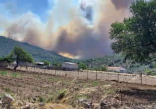 Λέσβος: Φωτιά στα Λιβάδια