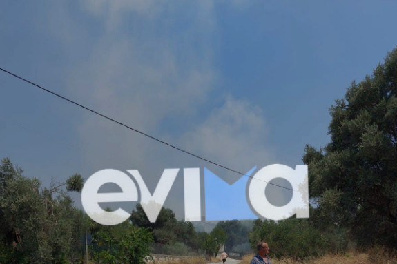 Εύβοια: Οι πρώτες εικόνες από την φωτιά στο Αλιβέρι