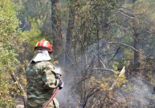 Φωτιά: Αγώνας να μην φτάσει η φωτιά στον πυρήνα του εθνικού πάρκου – Τι είπαν Στυλιανίδης, Αμυράς από Δαδιά