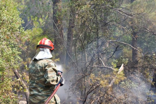 Φωτιά: Αγώνας να μην φτάσει η φωτιά στον πυρήνα του εθνικού πάρκου – Τι είπαν Στυλιανίδης, Αμυράς από Δαδιά