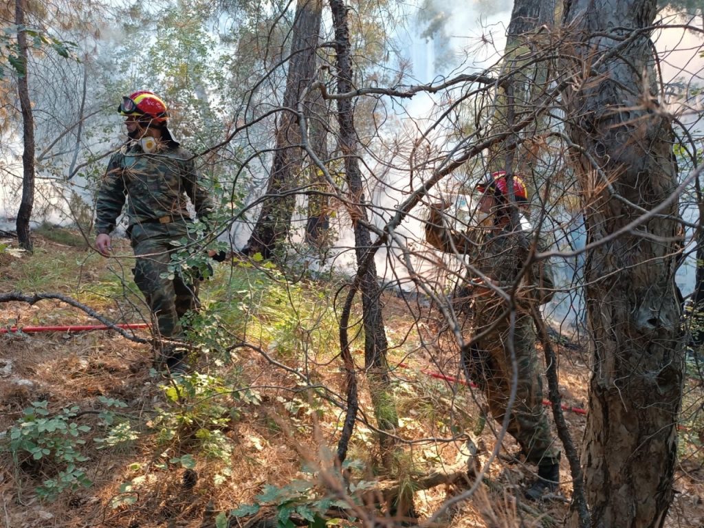 Πυρκαγιές: Η μάχη με τις φλόγες στη Δαδιά μέσα από εικόνες και βίντεο