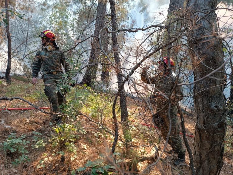Πυρκαγιές: Η μάχη με τις φλόγες στη Δαδιά μέσα από εικόνες και βίντεο