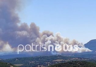 Εγκλωβίστηκαν Αστυνομικοί από την μεγάλη πυρκαγιά στις Πόρτες