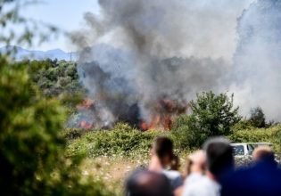Πρέβεζα: Κινδύνεψαν σπίτια από τη μεγάλη πυρκαγιά