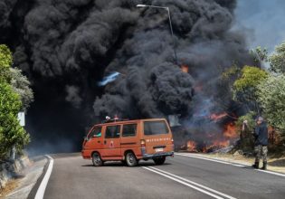 Φωτιά στα Κρέστενα: Νέος συναγερμός στην Πυροσβεστική