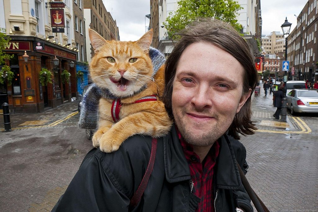 Ο γάτος που άλλαξε τη ζωή ενός άστεγου και χρήστη ναρκωτικών για πάντα