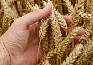 Ουκρανία: Διαβουλεύσεις Κιέβου – Μόσχας για εξαγωγές σιτηρών