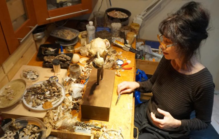 Το έργο τέχνης που σκότωνε τη δημιουργό του