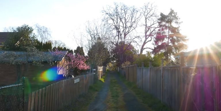 Οι 4 εποχές του χρόνου μέσα σε 18 δευτερόλεπτα – Δείτε το βίντεο