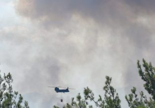 Έβρος: Μάχη για να σωθεί ένα από τα πιο ευαίσθητα οικολογικά πάρκα της Μεσογείου – Δραματικές ώρες