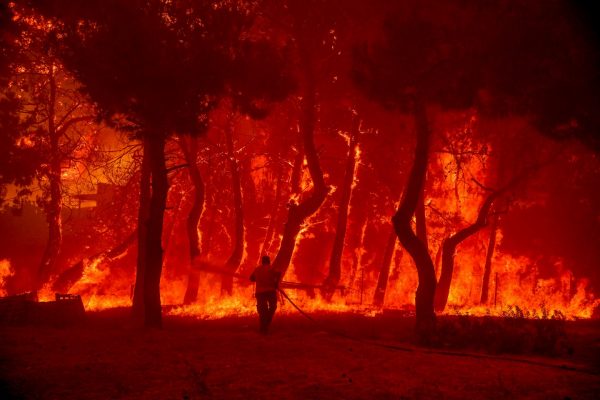 Φωτιά στη Λέσβο: «Στα Βατερά γίνονται αποκαΐδια τα επιχειρήματα της κυβέρνησης», δηλώνει βουλευτής του ΚΚΕ
