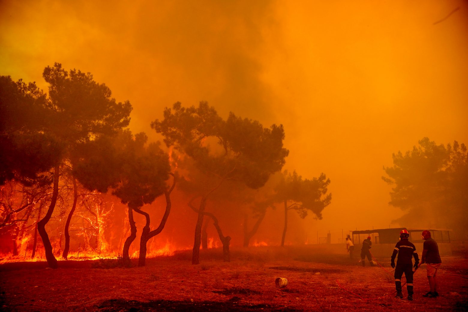 Λέσβος: Δραματικές στιγμές - Εικόνες Αποκάλυψης από τη μεγάλη φωτιά