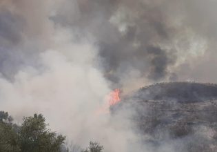 Φωτιά στην Ηλεία: Παίρνει επικίνδυνες διαστάσεις – Πλησιάζει στα σπίτια, απομακρύνονται κάτοικοι