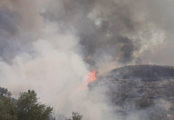 Φωτιά στην Ηλεία: Παίρνει επικίνδυνες διαστάσεις – Πλησιάζει στα σπίτια, απομακρύνονται κάτοικοι