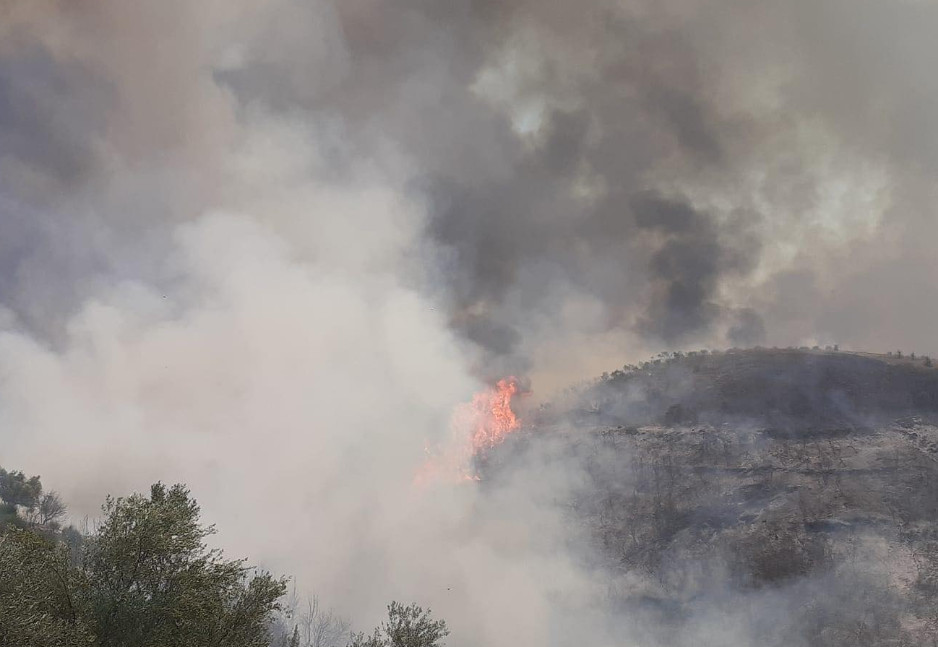 Φωτιά στην Ηλεία: Παίρνει επικίνδυνες διαστάσεις - Πλησιάζει στα σπίτια, απομακρύνονται κάτοικοι