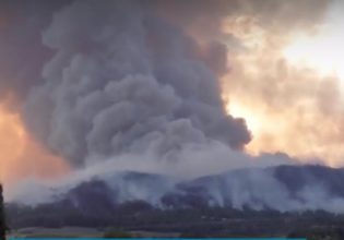 Φωτιά στον Εβρο: Δύο χιλιόμετρα το πύρινο μέτωπο – Αντιπυρικές ζώνες δημιουργεί ο Στρατός