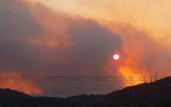 Φωτιά: Δεύτερη νύχτα αγωνίας στον Έβρο, καίγεται το δάσος της Δαδιάς