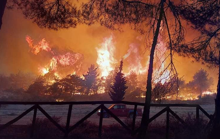 Φωτιές σε Εβρο και Ηλεία: Ακόμη μια «πύρινη» νύχτα στη χώρα - Σπίτια στις φλόγες, εκκενώσεις οικισμών