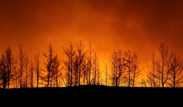 Τουρκική πρόκληση: «Η Ελλάδα εκπαιδεύει Κούρδους μαχητές του ΡΚΚ για να καίνε δάση της Τουρκίας»