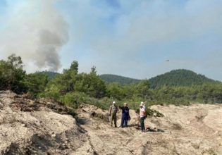 Στυλιανίδης από Δαδιά: Νέο σχέδιο κατάσβεσης – Συνεχείς οι αναζωπυρώσεις