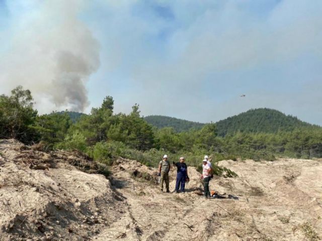 Στυλιανίδης από Δαδιά: Νέο σχέδιο κατάσβεσης - Συνεχείς οι αναζωπυρώσεις