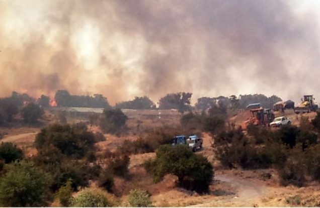 Φωτιά στον Εβρο: Γιατί η πυρκαγιά θεωρείται «αυτοκαθοδηγούμενη»