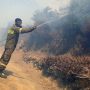 Συναγερμός στην Πυροσβεστική – Φωτιά στην Κέα