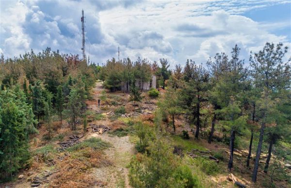 Εκχερσωμένες εκτάσεις: Λύση για 1,3 εκατ. στρέμματα σε όλη την Ελλάδα