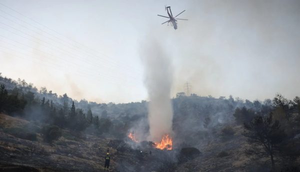 Φυλή: Φωτιά σε δασική έκταση πλησίον του γηπέδου του Θρασύβουλου