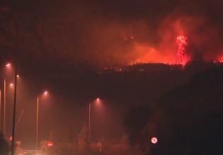 Φωτιά στην Άμφισσα: Έφτασαν οι φλόγες στην Ιτέα – Απειλούνται εργοστάσια